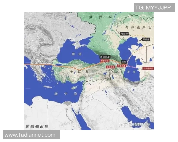 哈萨克斯坦语言发展现状及其对中亚地区文化交流的影响分析